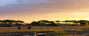 Ngorongoro Conservation Area