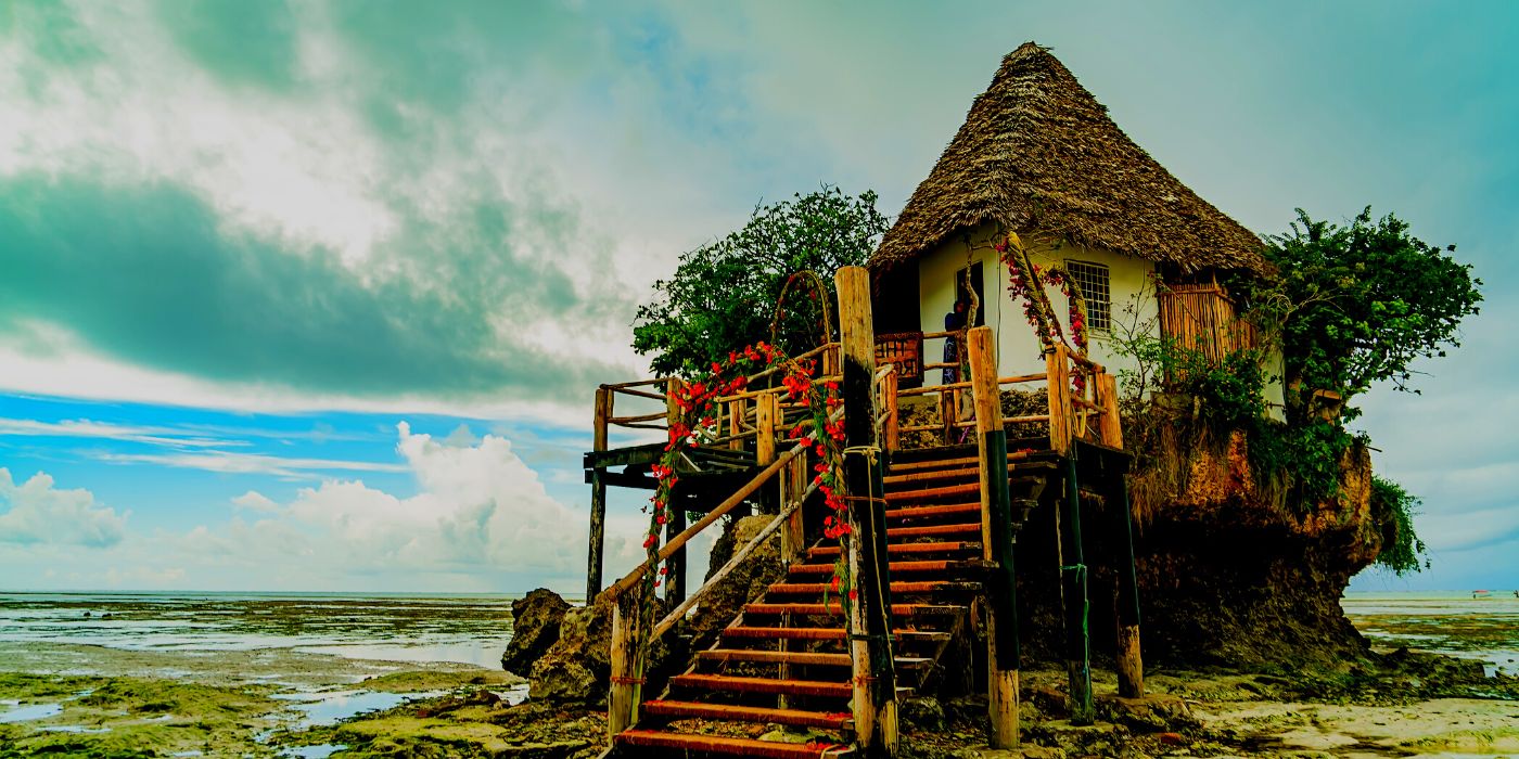 tanzania safari
