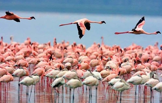 Lake National Park