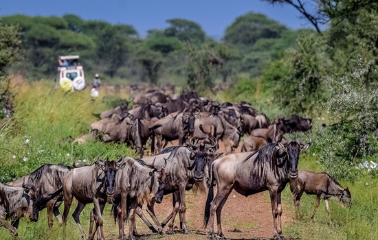 Serengeti National Park